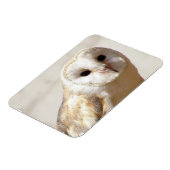 Snowy Barn Owl Flexible Magnet Magneet (Linkerzijde)