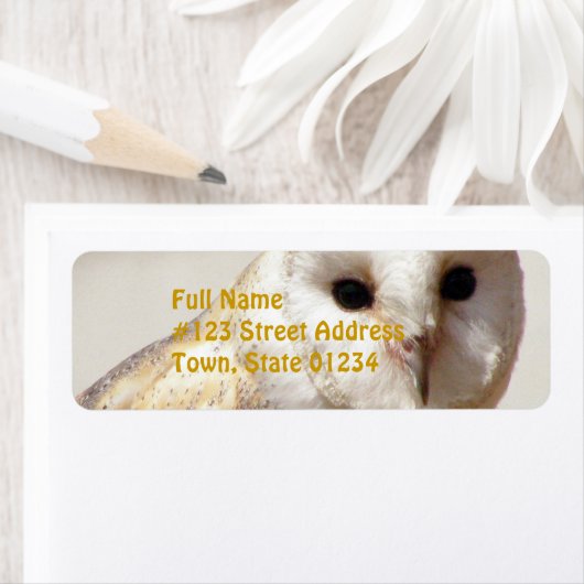 Snowy Barn Owl Mailing Labels (Insitu)