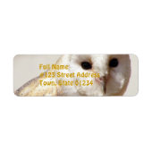 Snowy Barn Owl Mailing Labels (Voorkant)