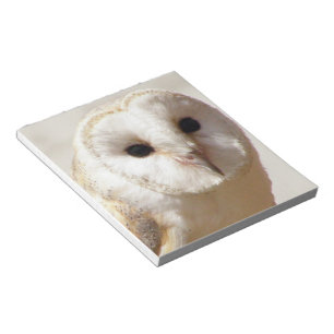 Snowy Barn Owl Notitieblok