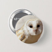 Snowy Barn Owl Pin Ronde Button 5,7 Cm (Voorkant /achterkant)