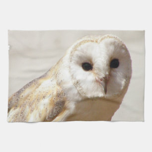 Snowy Barn Owl Towel Theedoek