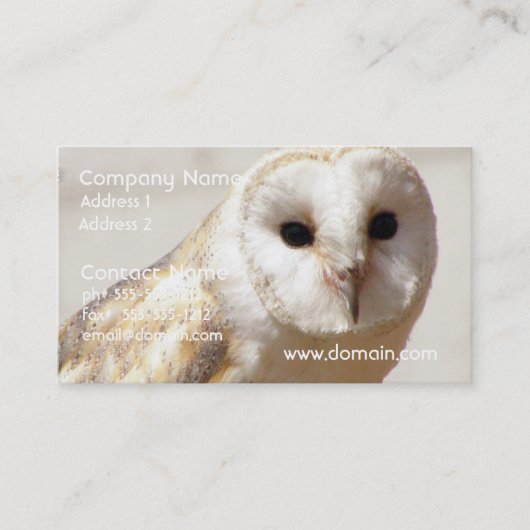 Snowy Barn Owl Visitekaartjes (Voorkant)