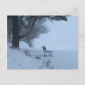 Snowy Bench Briefkaart (Voorkant)