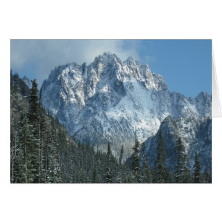 Snowy-berg