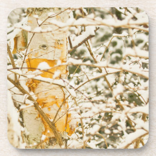 Snowy Birch Drankjes Onderzetter