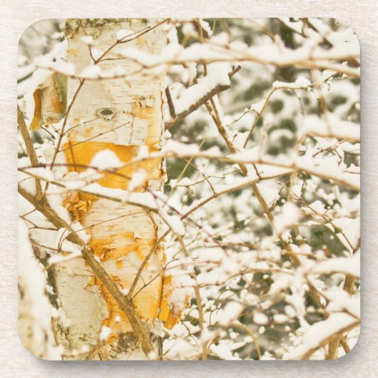 Snowy Birch Drankjes Onderzetter (Voorkant)