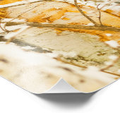 Snowy Birch Foto Afdruk (Hoek)