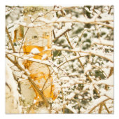 Snowy Birch Foto Afdruk (Voorkant)