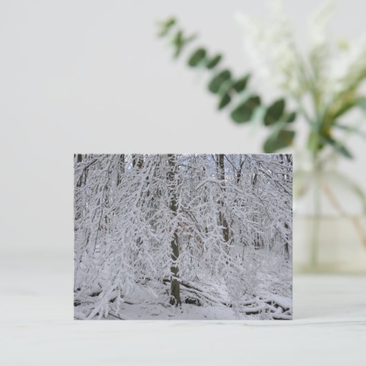 Snowy Birch Tree Canopy Briefkaart (Staand voorkant)