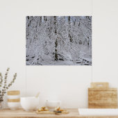 Snowy Birch Tree Canopy Poster (Keuken)
