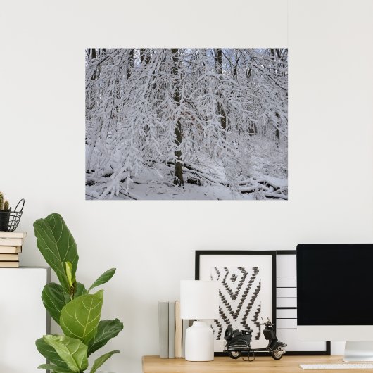 Snowy Birch Tree Canopy Poster (Thuiskantoor)