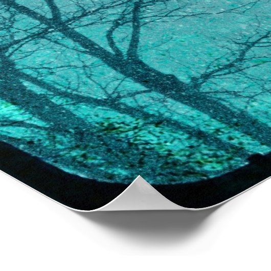 Snowy Blue Crow Poster (Hoek)