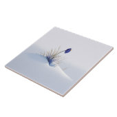 Snowy Blue Mountain Crocus Reborn Flower Ceramic T Tegeltje (Zijkant)