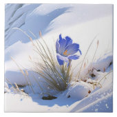 Snowy Blue Mountain Crocus Reborn Flower Tegeltje (Voorkant)