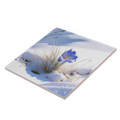 Snowy Blue Mountain Crocus Reborn Flower Tegeltje (Zijkant)