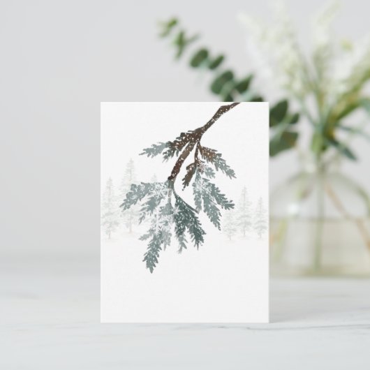 Snowy Blue Spruce Branch Winter Woodland Scene Briefkaart (Staand voorkant)