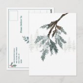 Snowy Blue Spruce Branch Winter Woodland Scene Briefkaart (Voorkant / Achterkant)