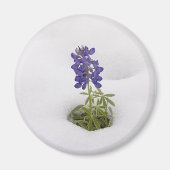 Snowy Bluebonnet - magneet (Voorkant)