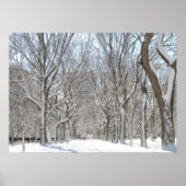 Snowy-bomen in Central Park Poster (Voorkant)