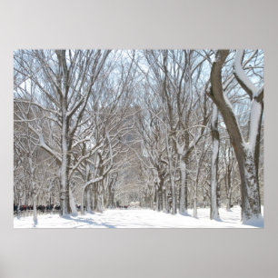 Snowy-bomen in Central Park Poster