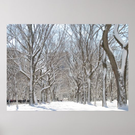 Snowy-bomen in Central Park Poster (Voorkant)