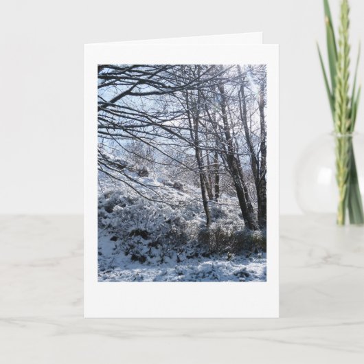 Snowy bossen Kerstmis Kaart (Voorkant)