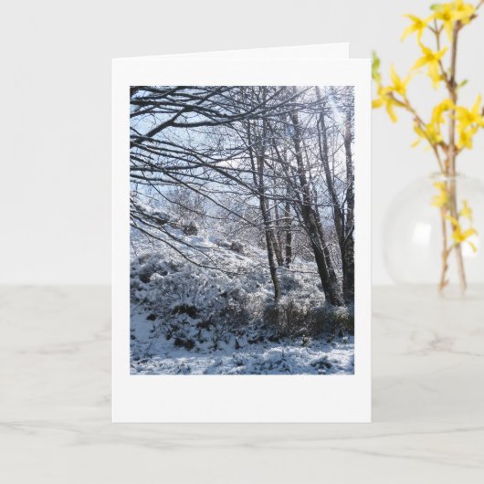 Snowy bossen Kerstmis Kaart (Gele Bloem)