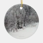 Snowy Bossen Round Photo Ornament (Voorkant)