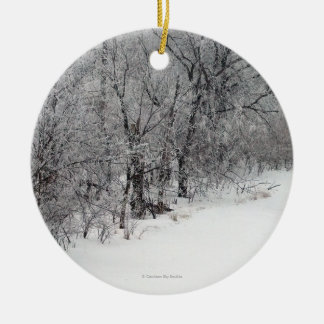 Snowy Bossen Round Photo Ornament