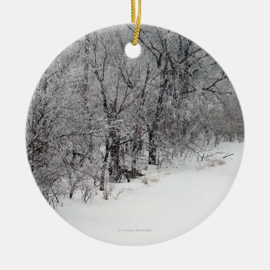 Snowy Bossen Round Photo Ornament (Voorkant)