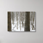 Snowy Bossen Scene Canvas Afdruk (Voorkant)