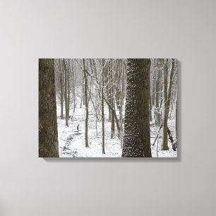 Snowy Bossen Scene Canvas Afdruk
