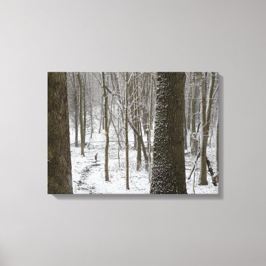 Snowy Bossen Scene Canvas Afdruk (Voorkant)