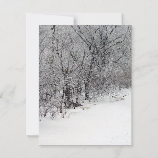 Snowy Bossen Uitnodiging (Voorkant)