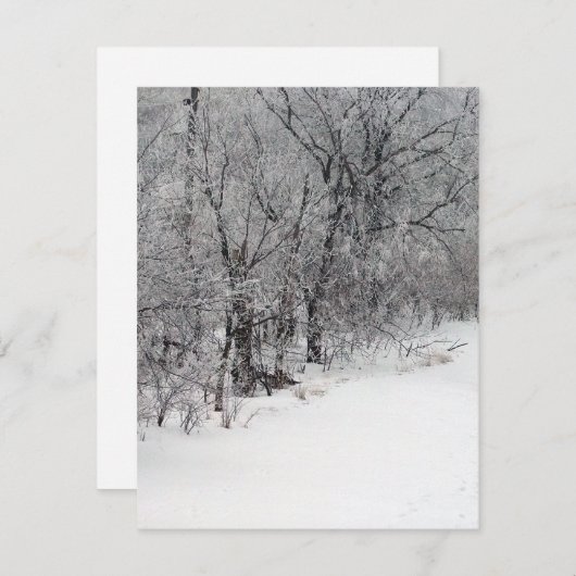 Snowy Bossen Uitnodiging (Voorkant / Achterkant)