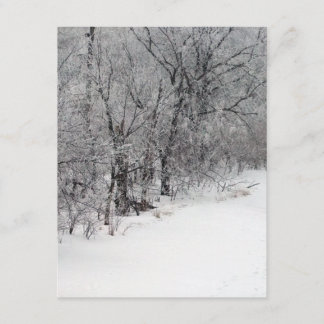 Snowy Bossen Uitnodiging
