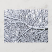 Snowy Branches Briefkaart (Voorkant)