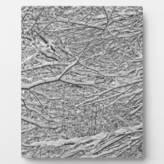 Snowy Branches Fotoplaat