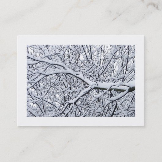 Snowy Branches (grensverleggend) Visitekaartje (Voorkant)