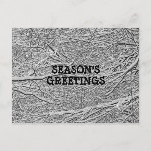 Snowy Branches Groeten Briefkaart