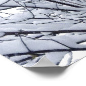 Snowy Branches Poster (Hoek)