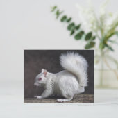 Snowy Briefkaart (Staand voorkant)