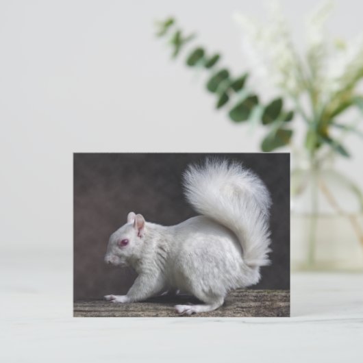 Snowy Briefkaart (Staand voorkant)