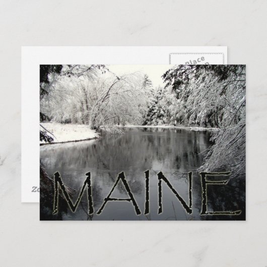 Snowy Briefkaart (Voorkant / Achterkant)