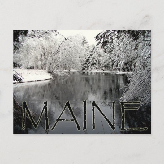 Snowy Briefkaart (Voorkant)