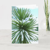 Snowy Cactus kaart (Voorkant)