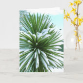 Snowy Cactus kaart (Gele Bloem)