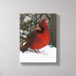 Snowy Cardinaal Canvas Afdruk