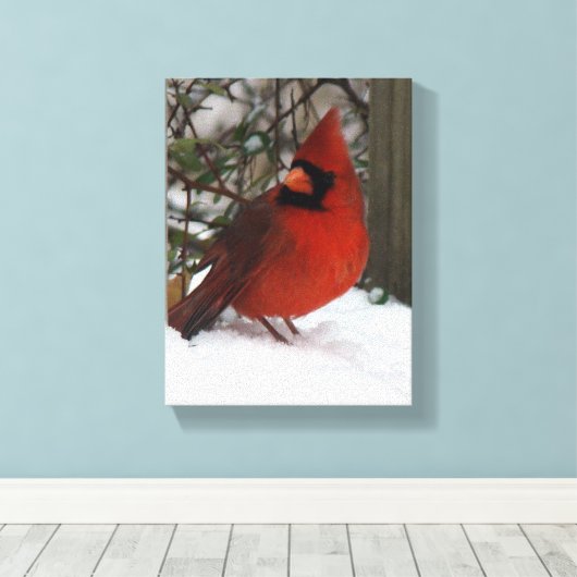 Snowy Cardinaal Canvas Afdruk (Insitu (Houten vloer))